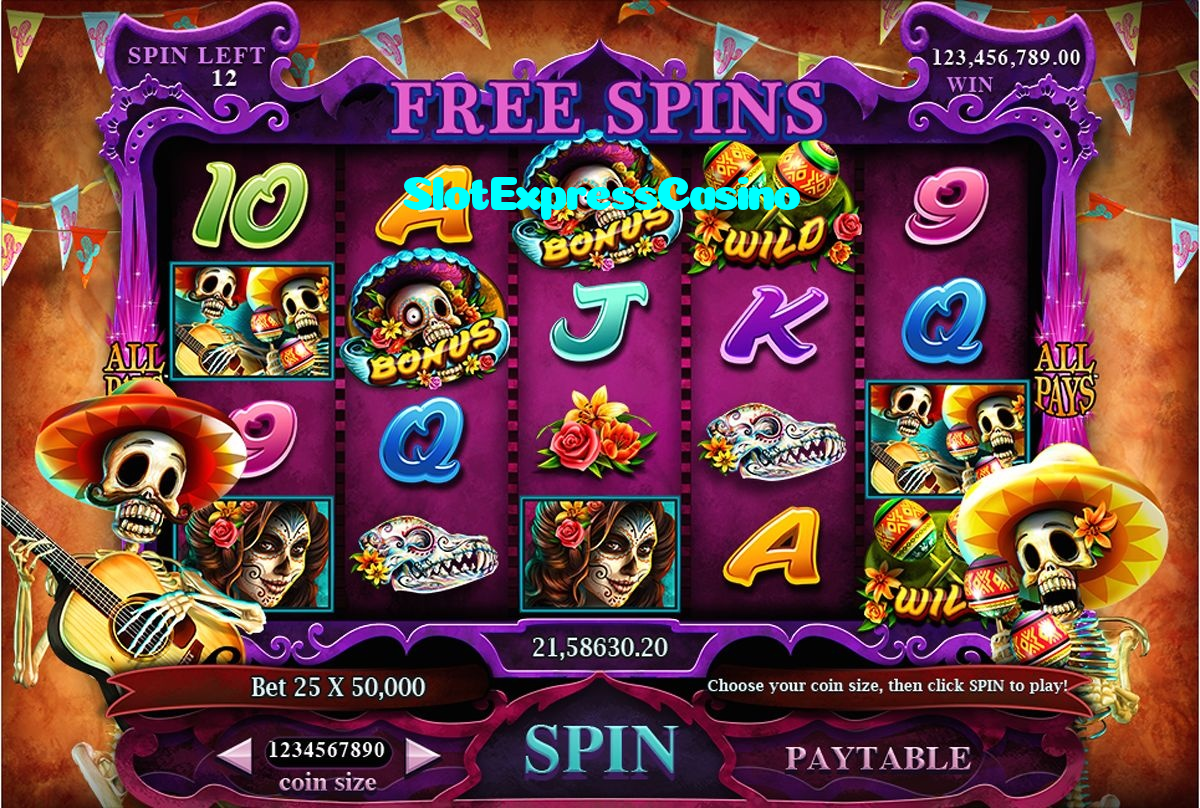 available types of SlotExpressCasino bet including pre-match live express and system bets